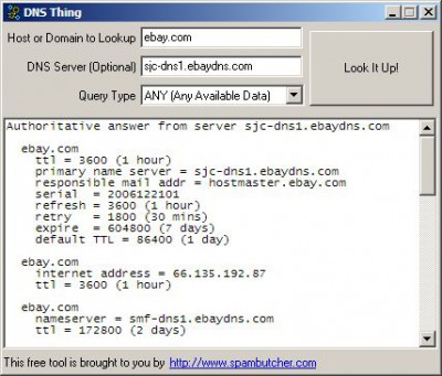 DNS Thing 1.0a screenshot