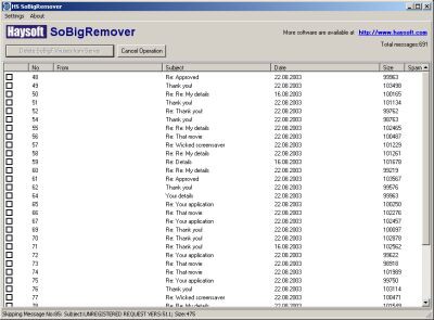 HS SoBigRemover 1.2 screenshot