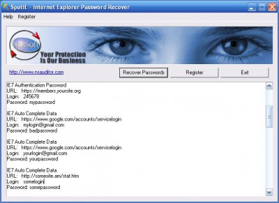 SpotIE Password Recovery 2.9.5 screenshot