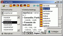 Travel Dictionary German PC 5.0 screenshot