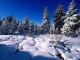 DPSM - Winter ScreenSaver 1.7