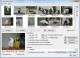 JPEG Resizer 4.0.4 Screenshot