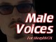 Male Voices - MorphVOX Add-on 1.3.1 Screenshot