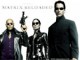 Matrix Reloaded Screensaver 1.6