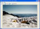 Stardust Image Viewer 2003 1.0.0.3 Screenshot